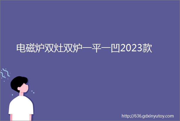 电磁炉双灶双炉一平一凹2023款